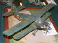 Plastic model of the An-2 biplane - photo no 2.