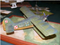 Plastic model of the An-2 biplane - photo no 3.