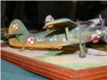 Plastic model of the An-2 biplane - photo no 4.