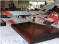 A plastic model of the An-2 multirole plane made in 1:48 scale - photo no 4.