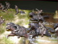 Diorama titled: First to Fight 1 Sept 1939 - photo no 11.