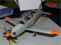 A reduction model of the Polish PZL-130 Orlik training aircraft made from scratch - photo no 3.