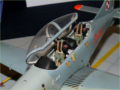 A reduction model of the Polish PZL-130 Orlik training aircraft made from scratch - photo no 5.