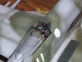 A plastic model of the British Hawker Typhoon Mk.Ib plane made in 1:48 scale - photo no 9.