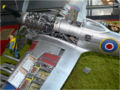 A plastic model of the Hawker Typhoon MkIb fighter-bomber made in 1:24 scale - photo no 5.