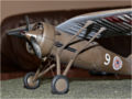 The resin model of the PZL P.7a aircraft from the 111th Fighter Escadrille of the 1st Air Regiment in Warsaw - photo no 4