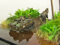 Diorama featuring a damaged M113 armored personnel carrier towing by an elephant and the Bell UH-1B helicopter flying over them - photo No. 12