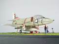 The photo shows a plastic model of the American Douglas A-4B Skyhawk attack aircraft - photo No. 12