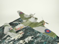 Plastic model of the Bristol Beaufighter Mk.VI aircraft glued together from a Tamiya kit in a 1:48 scale - foto nr 7